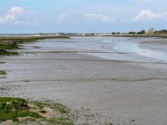 Tide's out!